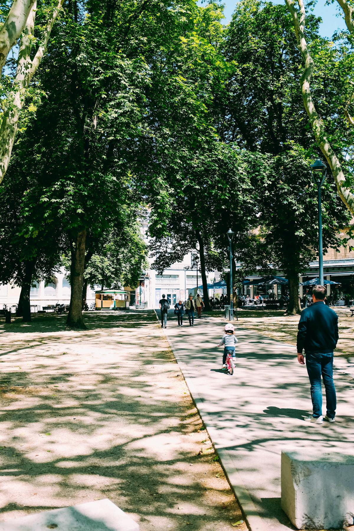 Person walking through a green city park